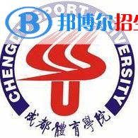成都體育學(xué)院藝術(shù)類專業(yè)有哪些？（藝術(shù)類專業(yè)）
