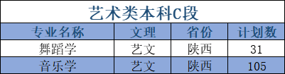延安大學(xué)藝術(shù)類(lèi)專(zhuān)業(yè)有哪些？