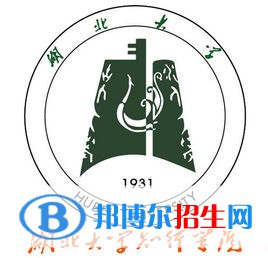 湖北大學(xué)知行學(xué)院藝術(shù)類專業(yè)有哪些？（藝術(shù)類專業(yè)）