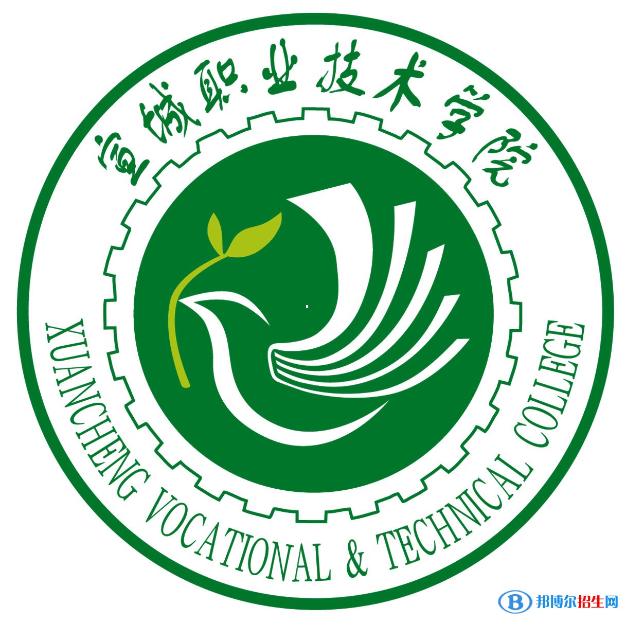宣城職業(yè)技術(shù)學(xué)院藝術(shù)類專業(yè)有哪些？