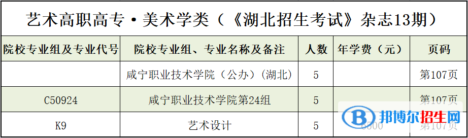 咸寧職業(yè)技術(shù)學(xué)院藝術(shù)類專業(yè)有哪些？