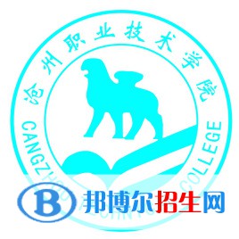 滄州職業(yè)技術學院有哪些專業(yè)？