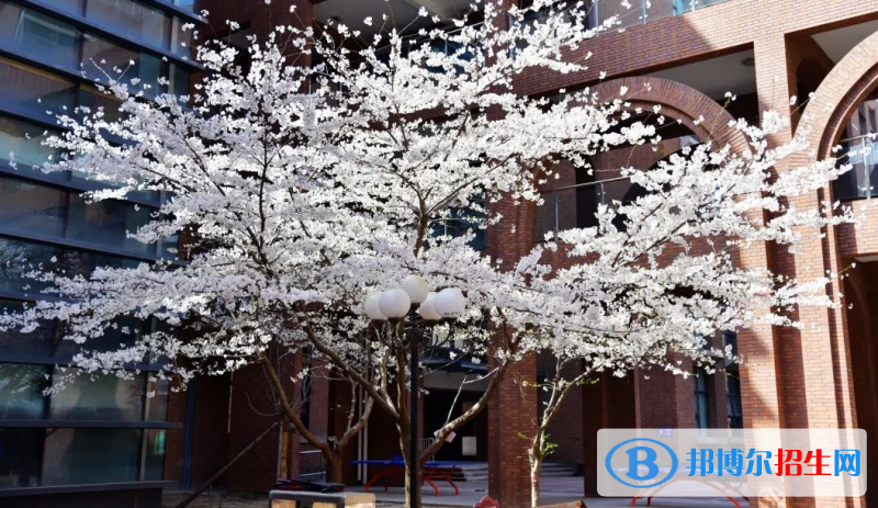河北省石家莊市第二中學2023年學費、收費多少