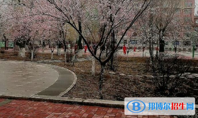 長春第六中學2023年招生計劃 