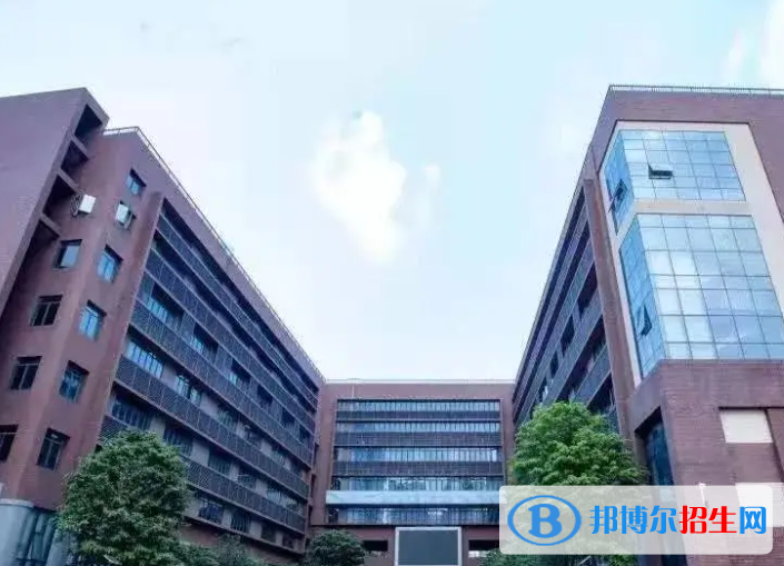 深圳蛇口國際學校小學部靠譜嗎