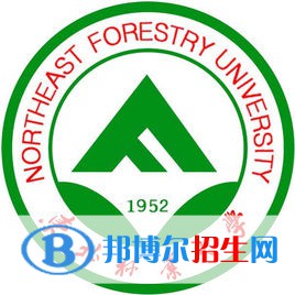 東北林業(yè)大學藝術(shù)類近幾年錄取分數(shù)線匯總（2022-2018）