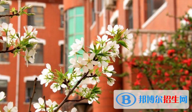 石家莊外國語學(xué)校2023年學(xué)費(fèi)、收費(fèi)多少