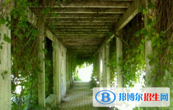 長春第十中學(xué)2023年招生代碼 