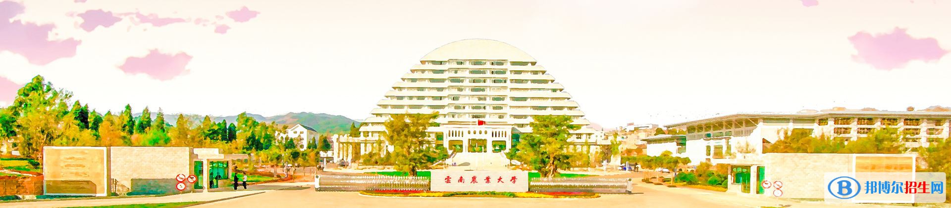 2022 云南農(nóng)業(yè)大學(xué)全國排名（云南農(nóng)業(yè)大學(xué)歷年全國排名）-2023年參考