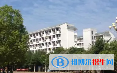 廣西2023年上計算機(jī)學(xué)校選什么專業(yè)