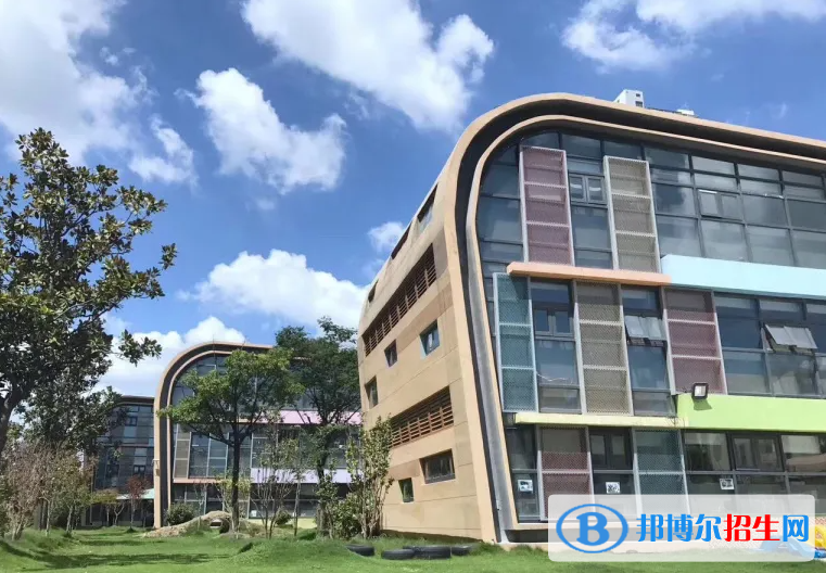 蘇州新加坡國際學校初中部2023年課程體系2