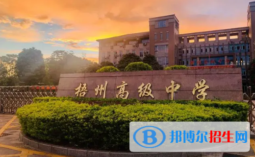 梧州高中學(xué)校升學(xué)排行2022（附高考成績(jī)）-2023參考