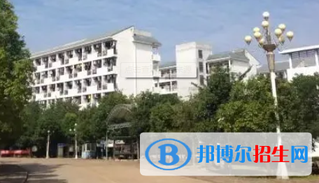廣西2023年計(jì)算機(jī)學(xué)校里面有什么專(zhuān)業(yè)
