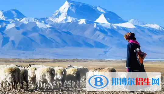 阿里地區(qū)中考物理總分(滿分）是多少（附阿里物理中考成績查詢?nèi)肟冢? width=
