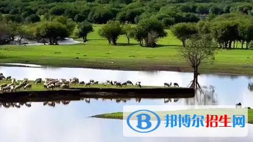 呼倫貝爾中考數(shù)學總分(滿分）是多少（附呼倫貝爾中考成績查詢?nèi)肟冢? width=
