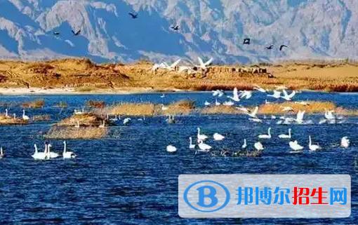 巴彥淖爾中考英語總分(滿分)是多少(附巴彥淖爾中考成績查詢?nèi)肟冢? width=