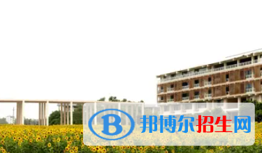 廣西2023年哪個計算機學校好點