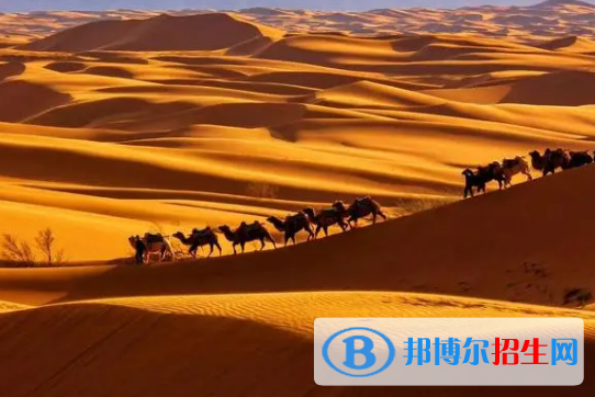 中衛(wèi)市中考英語總分(滿分）是多少？（附中衛(wèi)中考成績(jī)查詢?nèi)肟冢? width=