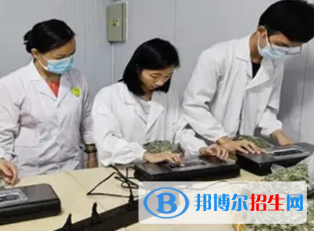 河南2023年中職衛(wèi)校學(xué)什么專業(yè)好