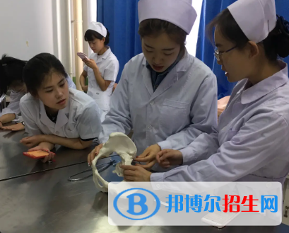 河南2023年上衛(wèi)校學什么專業(yè)好