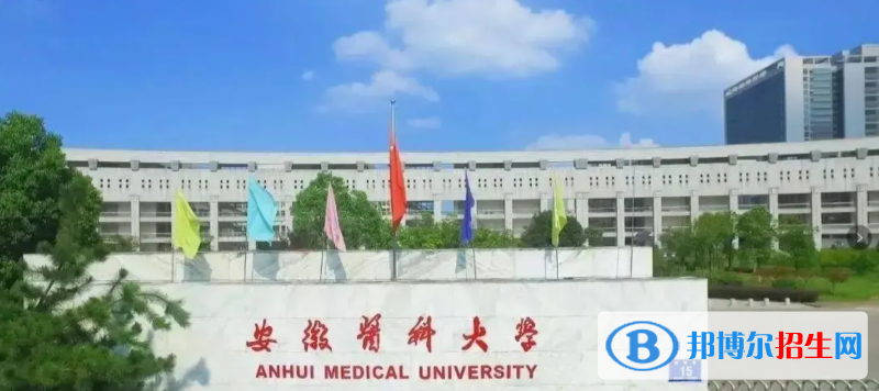 2023安徽理科530分左右能上什么好大學（本省大學+外省大學）