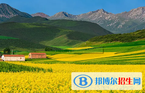 海北州中考道德與法治總分(滿分）是多少（附海北州中考成績(jī)查詢?nèi)肟冢? width=