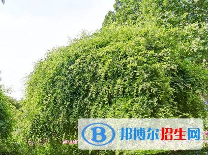 河南2023年衛(wèi)校中哪個(gè)好