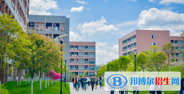 四川2023年計算機學(xué)校哪的好