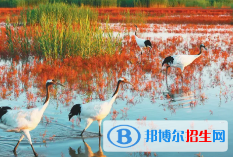 盤錦中考英語(yǔ)總分(滿分）是多少（附盤錦中考成績(jī)查詢?nèi)肟冢? width=