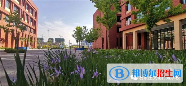 石家莊2023年計算機學校學什么好有前途