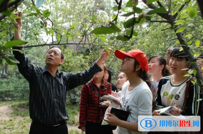 大學(xué)作物生產(chǎn)技術(shù)專業(yè)可以從事哪些工作？