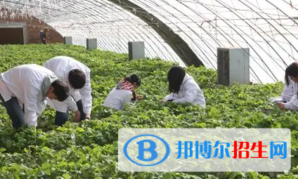 大學(xué)農(nóng)村經(jīng)營管理專業(yè)可以從事哪些工作？