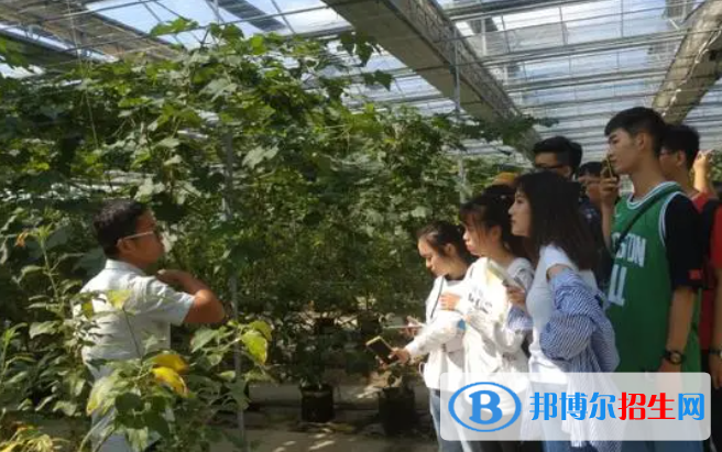 大學(xué)農(nóng)林經(jīng)濟(jì)管理專業(yè)可以從事哪些工作？