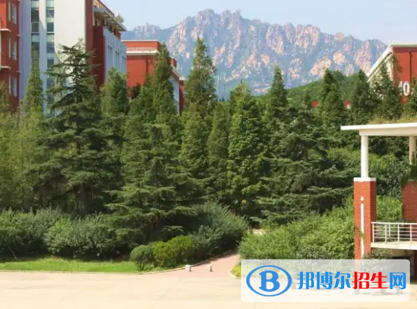 青島職業(yè)技術(shù)學(xué)院是大專(zhuān)還是中專(zhuān)（青島職業(yè)技術(shù)學(xué)院）