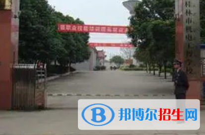 廣西2023年計(jì)算機(jī)學(xué)校算什么學(xué)歷