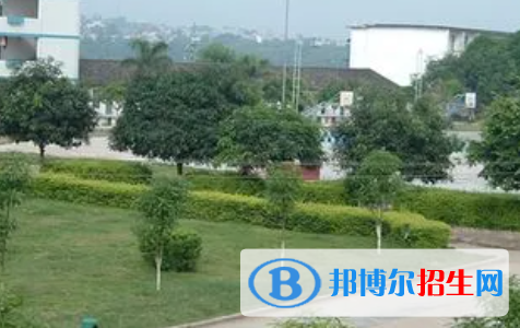 廣西2023年公辦的計(jì)算機(jī)學(xué)校