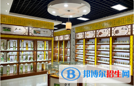 浙江2023年讀中專學(xué)?？梢钥即髮W(xué)嗎