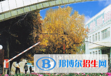 新疆生產建設兵團興新職業(yè)技術學院是大專還是中專(新疆生產建設兵團興新職業(yè)技術學院)
