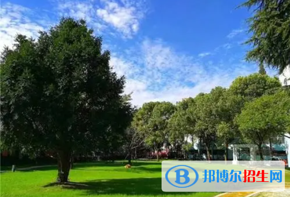上海洋涇中學國際部怎么樣2
