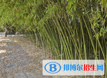 河南2023年衛(wèi)校學(xué)費多少