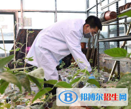 飼草生產(chǎn)技術(shù)專業(yè)好嗎?