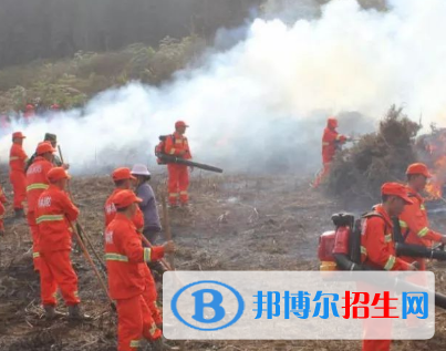 森林草原防火技術(shù)專業(yè)好嗎?