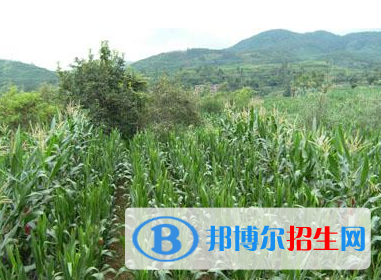 種子生產(chǎn)與經(jīng)營(yíng)專業(yè)好嗎?