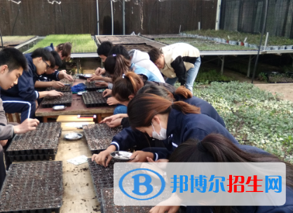 現(xiàn)代農(nóng)業(yè)經(jīng)濟管理專業(yè)好嗎?