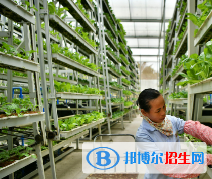 農(nóng)產(chǎn)品流通與管理專業(yè)好嗎?