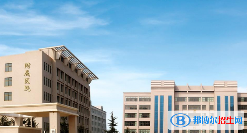 河南單招中醫(yī)康復技術專業(yè)2023年有哪些學校