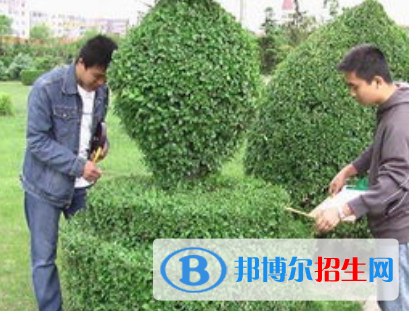 林業(yè)技術(shù)專業(yè)好嗎?