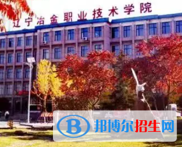 遼寧冶金職業(yè)技術(shù)學(xué)院是大專還是中專(遼寧冶金職業(yè)技術(shù)學(xué)院)