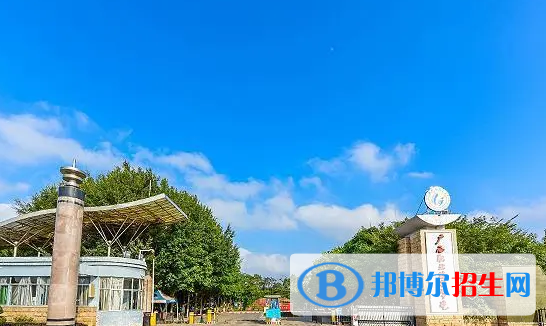 廣西單招畜牧獸醫(yī)（寵物美容與診療）專(zhuān)業(yè)2023年有哪些學(xué)校