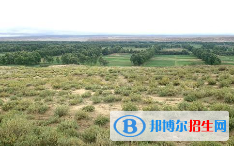 森林和草原資源保護(hù)專業(yè)好嗎?